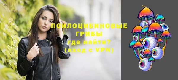 герыч Россошь