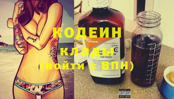 шишки Рославль