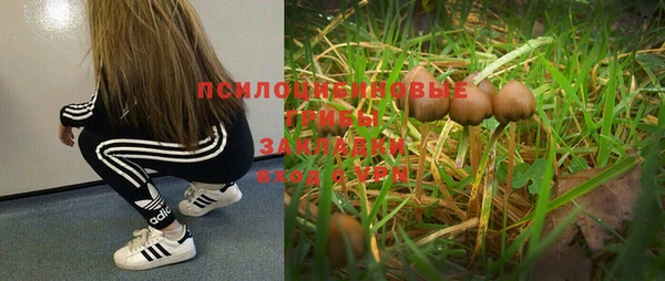 альфа пвп Ростов