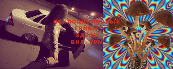 шишки Рославль