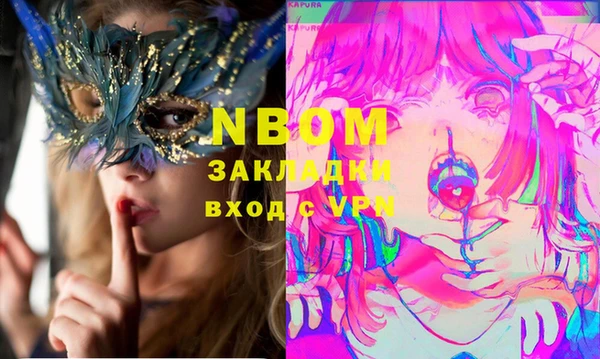 шишки Рославль